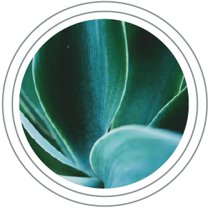 Responsible Business: Kraton's Belpre, Ohio manufacturing plant alongside a river