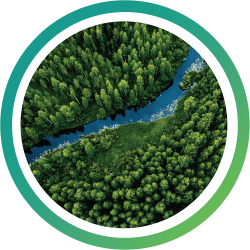 A circular image of a pine forest with a blue river, representative of Kraton's mission to provide sustainable chemicals to global industries.